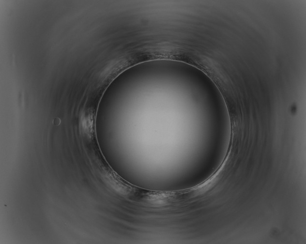 X0000091700190200708241231