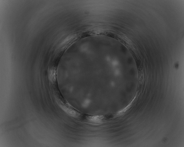 X0000091700191200708241231