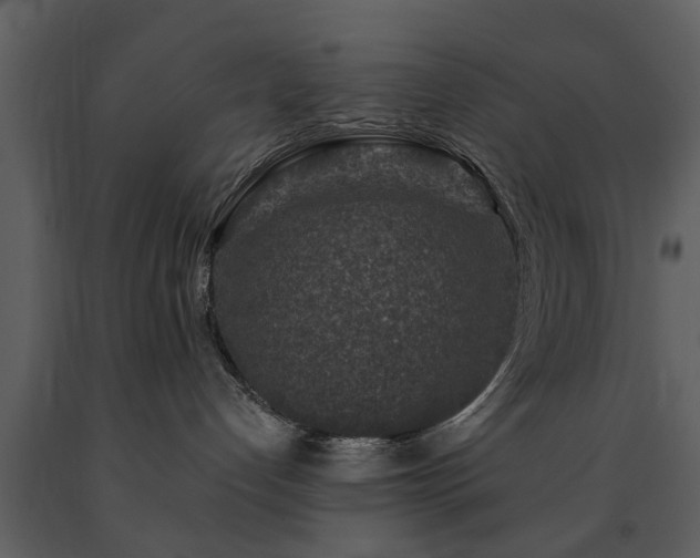 X0000091700192200708241231