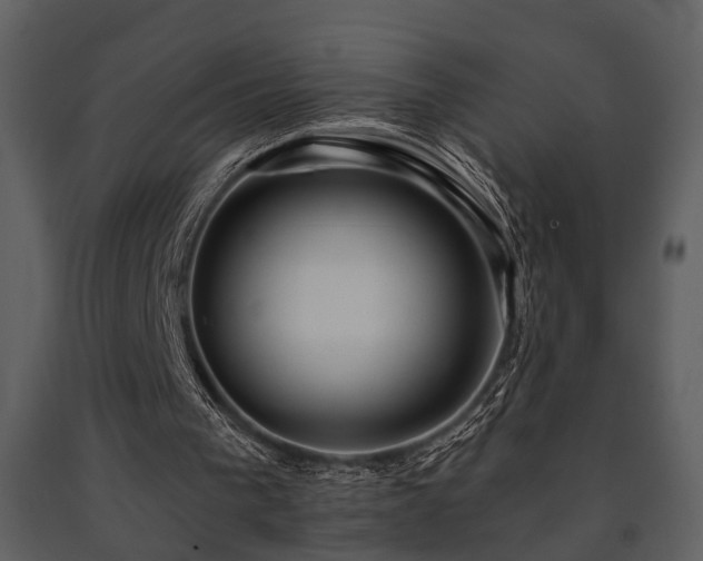 X0000091700193200708241230