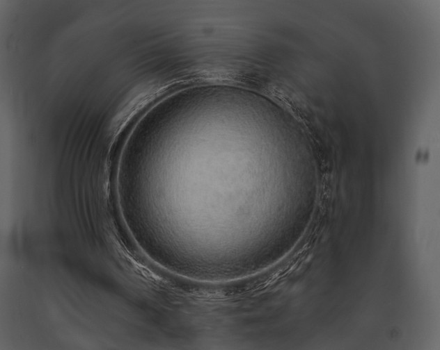 X0000091700194200708241230