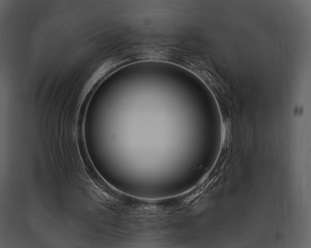 X0000091700195200708241230