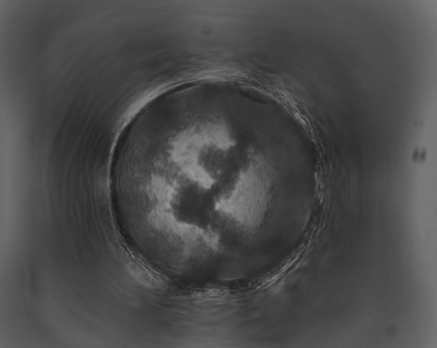 X0000091700196200708241230