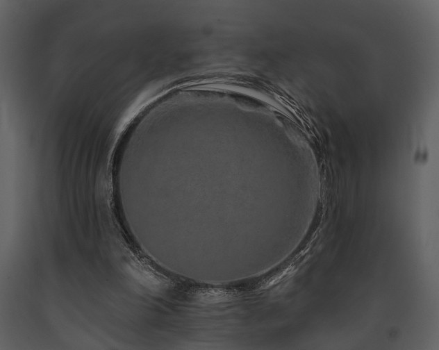 X0000091700198200708241230