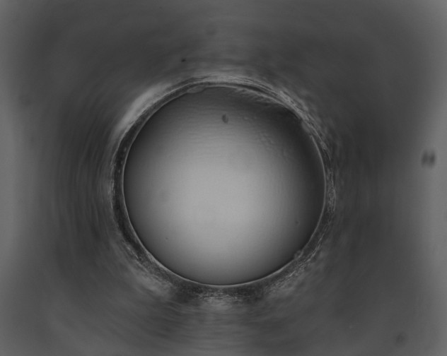 X0000091700199200708241230