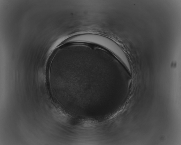 X0000091700200200708241230