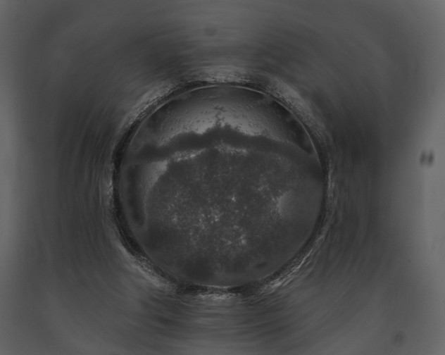 X0000091700202200708241230