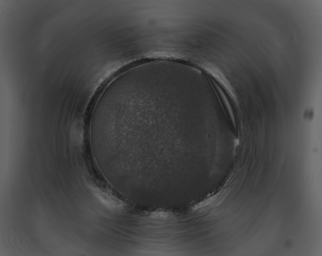 X0000091700204200708241230