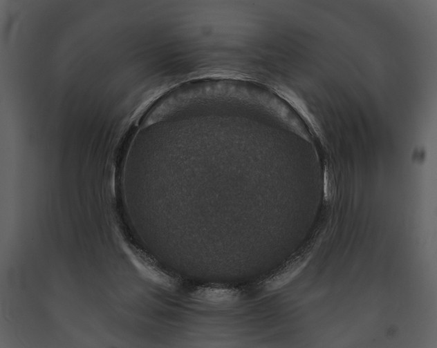 X0000091700205200708241230