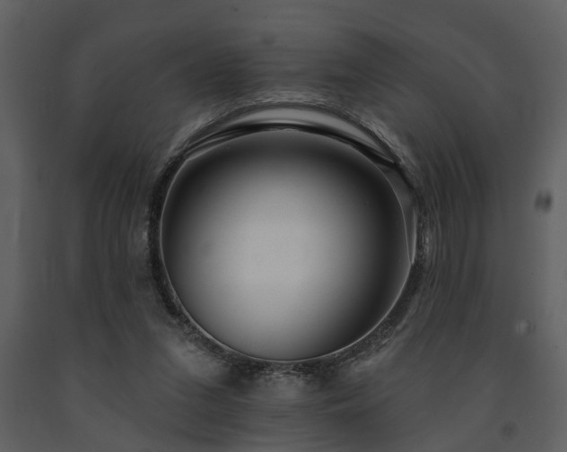 X0000091700207200708241230