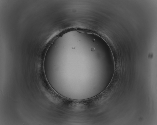 X0000091700208200708241230