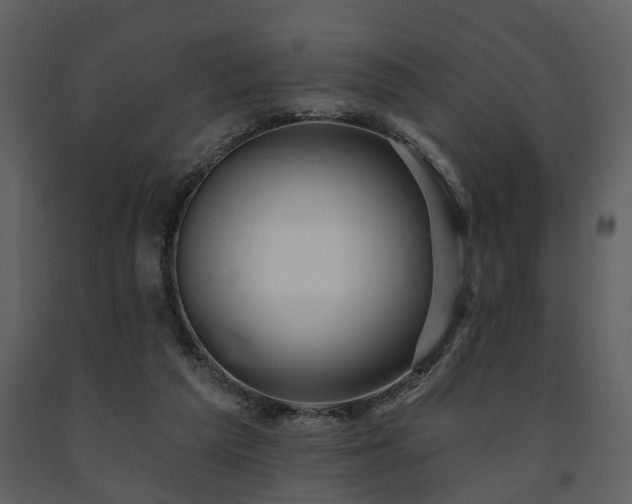 X0000091700209200708241230