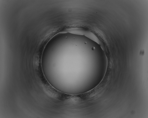 X0000091700210200708241230
