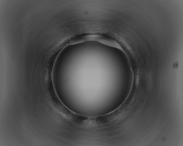 X0000091700211200708241230