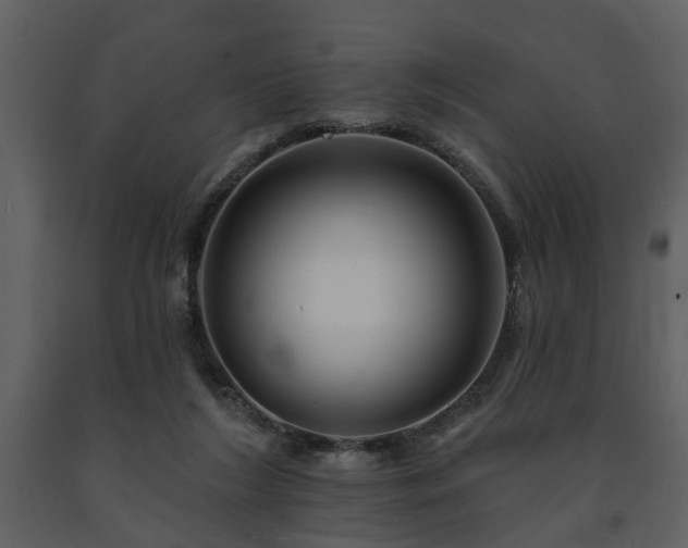 X0000091700212200708241230