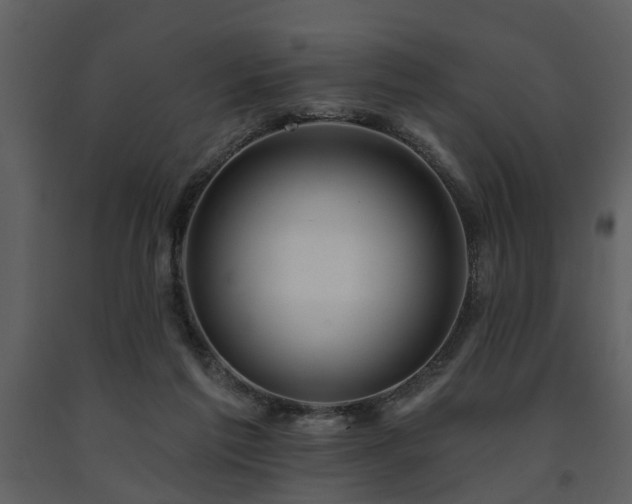 X0000091700213200708241230