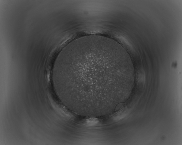 X0000091700214200708241230