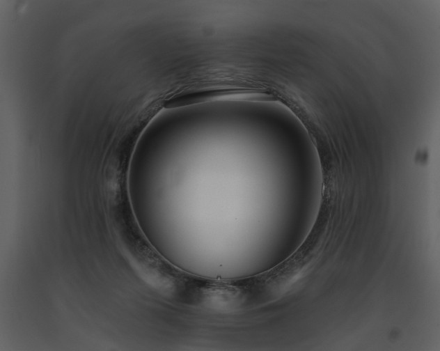 X0000091700215200708241230