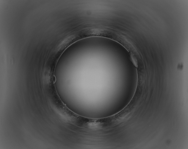 X0000091700216200708241230