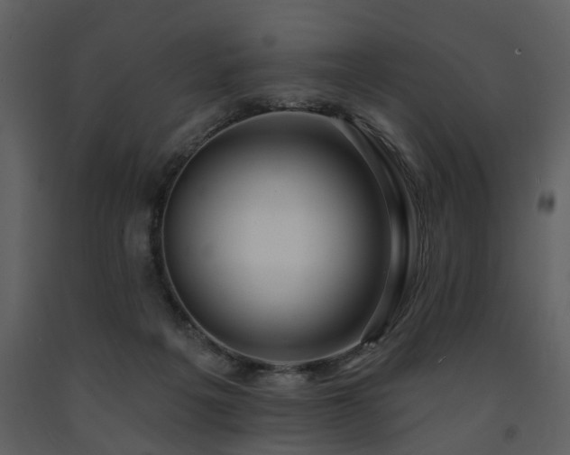 X0000091700217200708241230