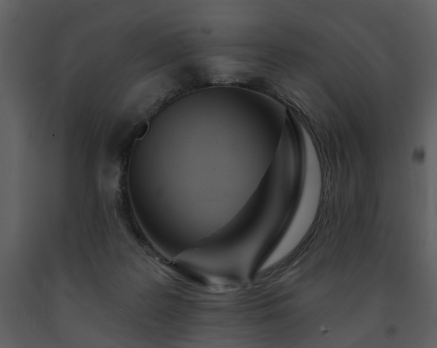 X0000091700219200708241230