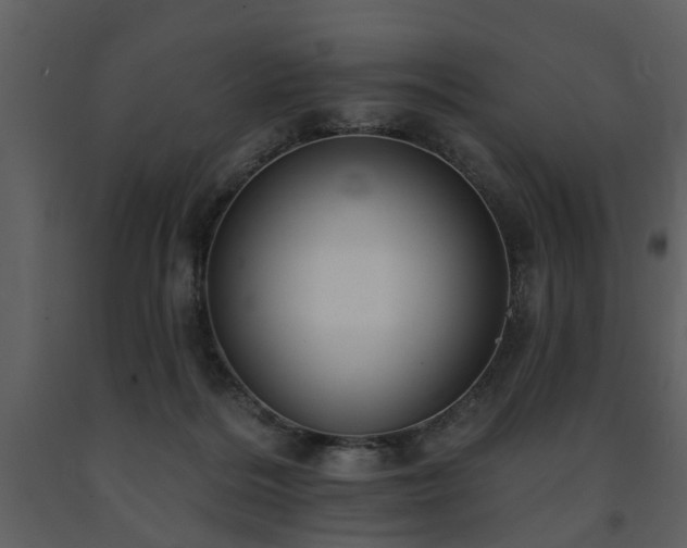X0000091700220200708241230