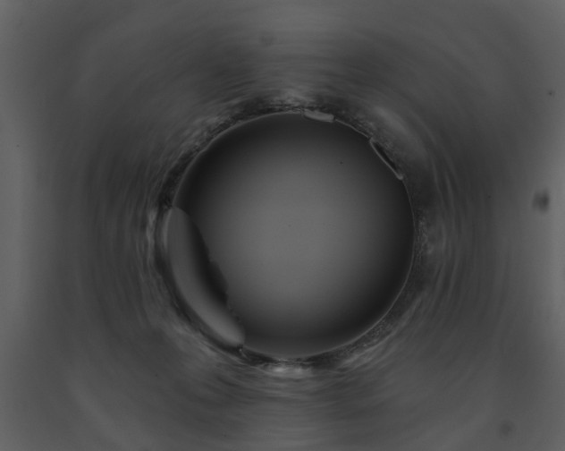 X0000091700223200708241230