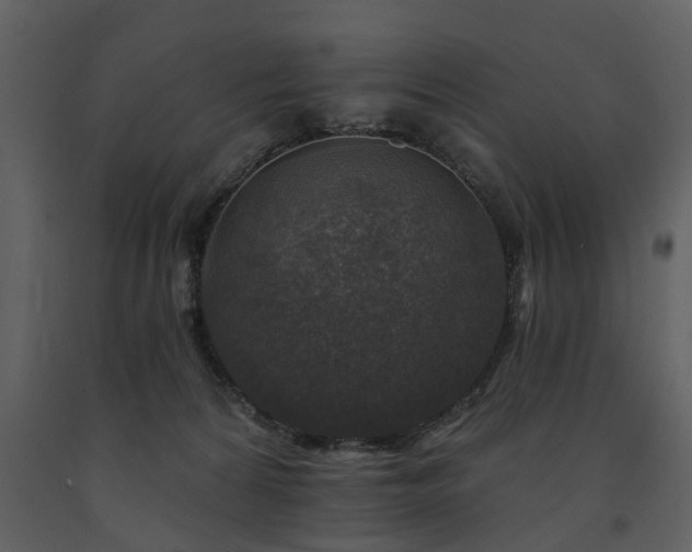 X0000091700224200708241230