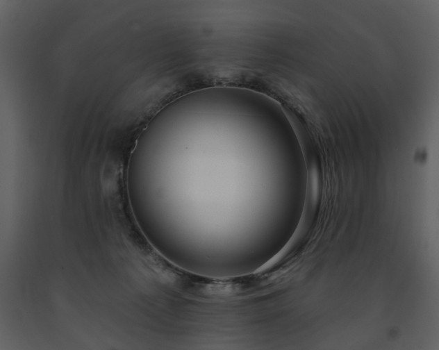 X0000091700225200708241230