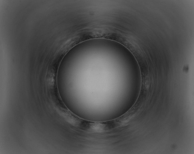 X0000091700226200708241230