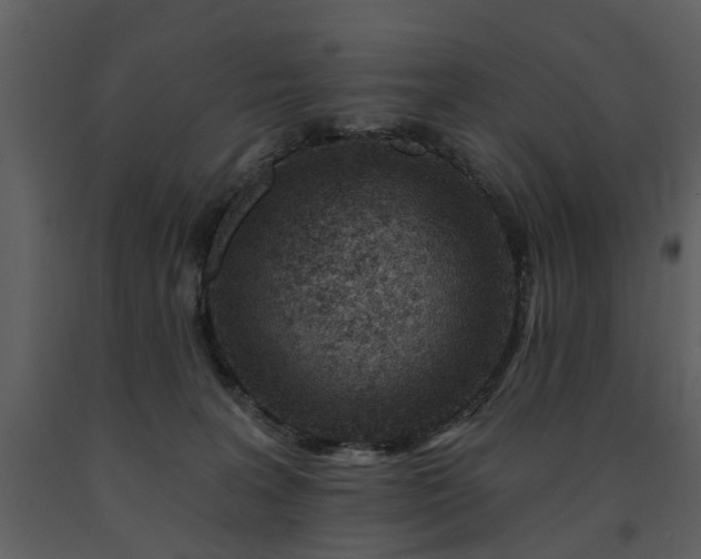 X0000091700227200708241230