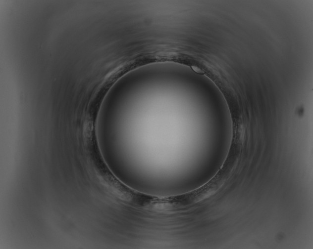 X0000091700228200708241230