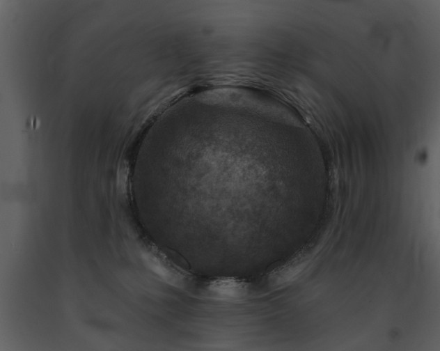 X0000091700231200708241230