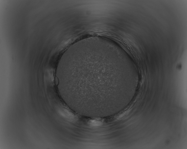 X0000091700232200708241230