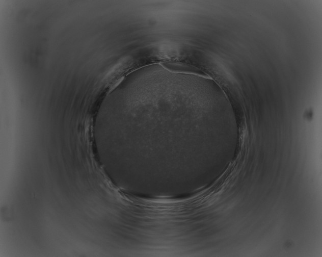 X0000091700233200708241230