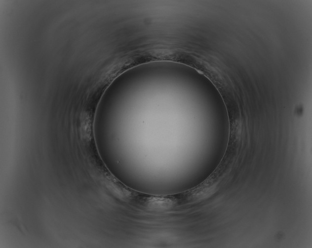 X0000091700234200708241230