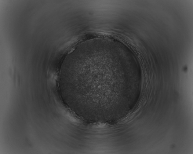 X0000091700235200708241230