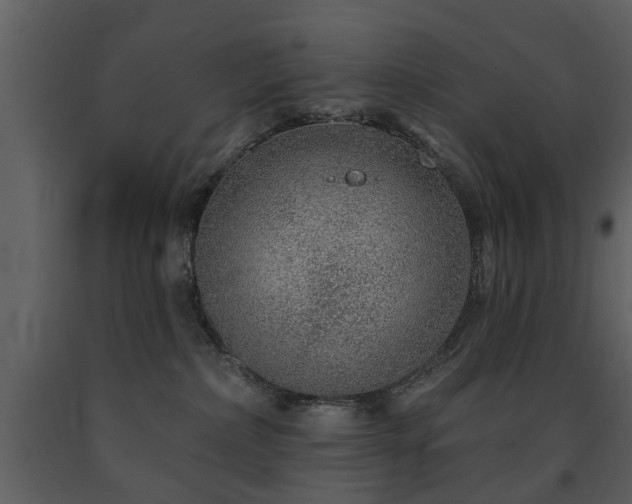X0000091700236200708241230