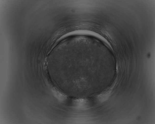 X0000091700237200708241230
