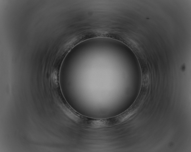 X0000091700238200708241230