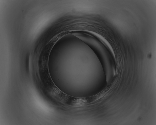 X0000091700239200708241230