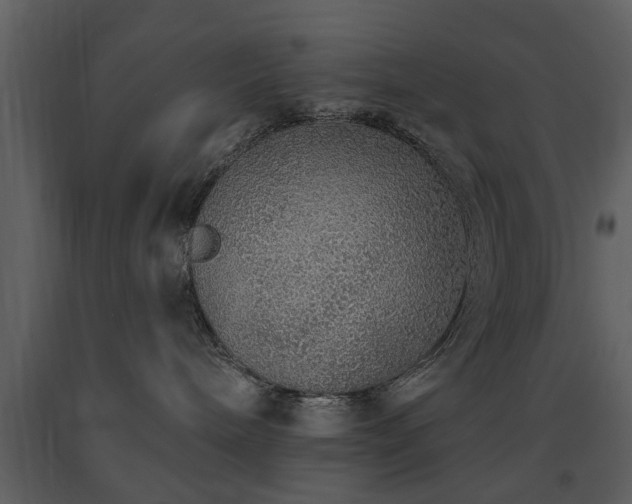 X0000091700240200708241230