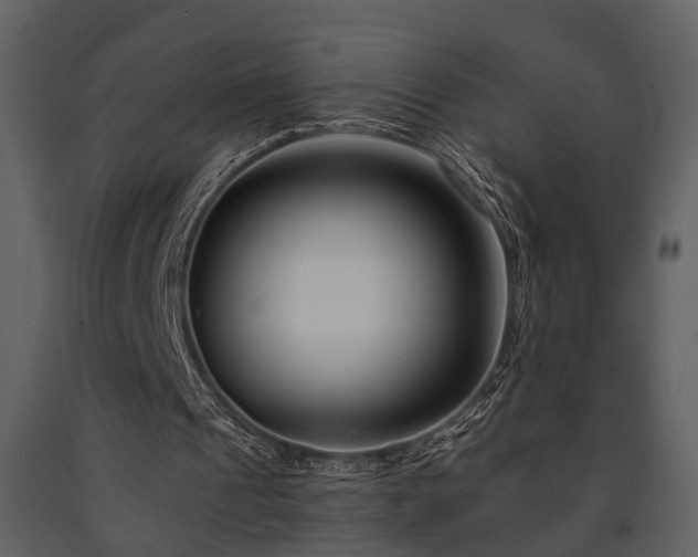 X0000091700241200708241229