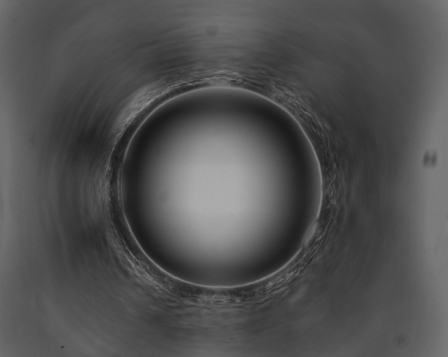 X0000091700242200708241229