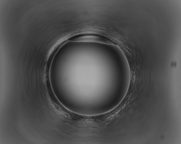 X0000091700244200708241229