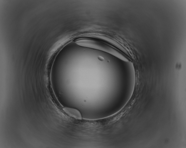X0000091700245200708241229