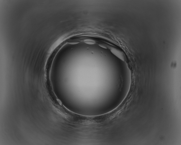 X0000091700246200708241229