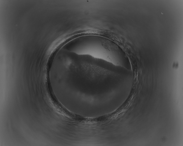 X0000091700247200708241229