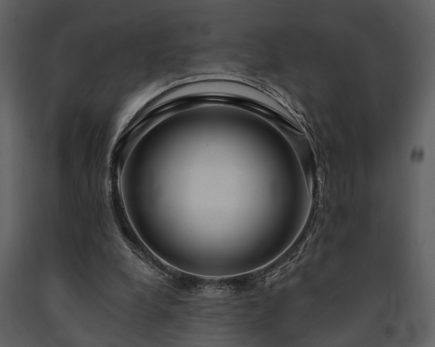 X0000091700248200708241229