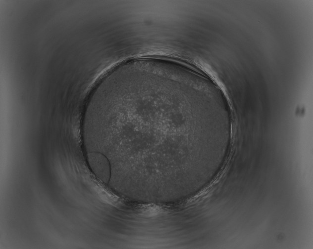 X0000091700249200708241229